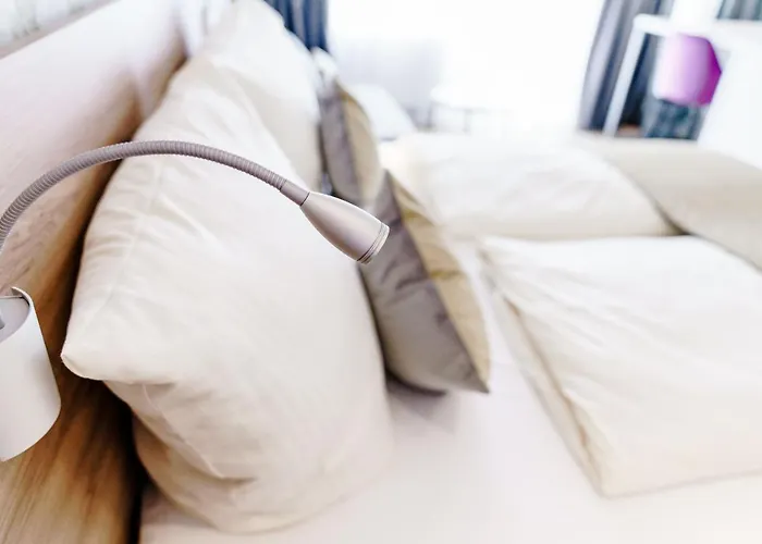 Haus Am Luxury Hs 949 B 公寓 戈斯拉尔